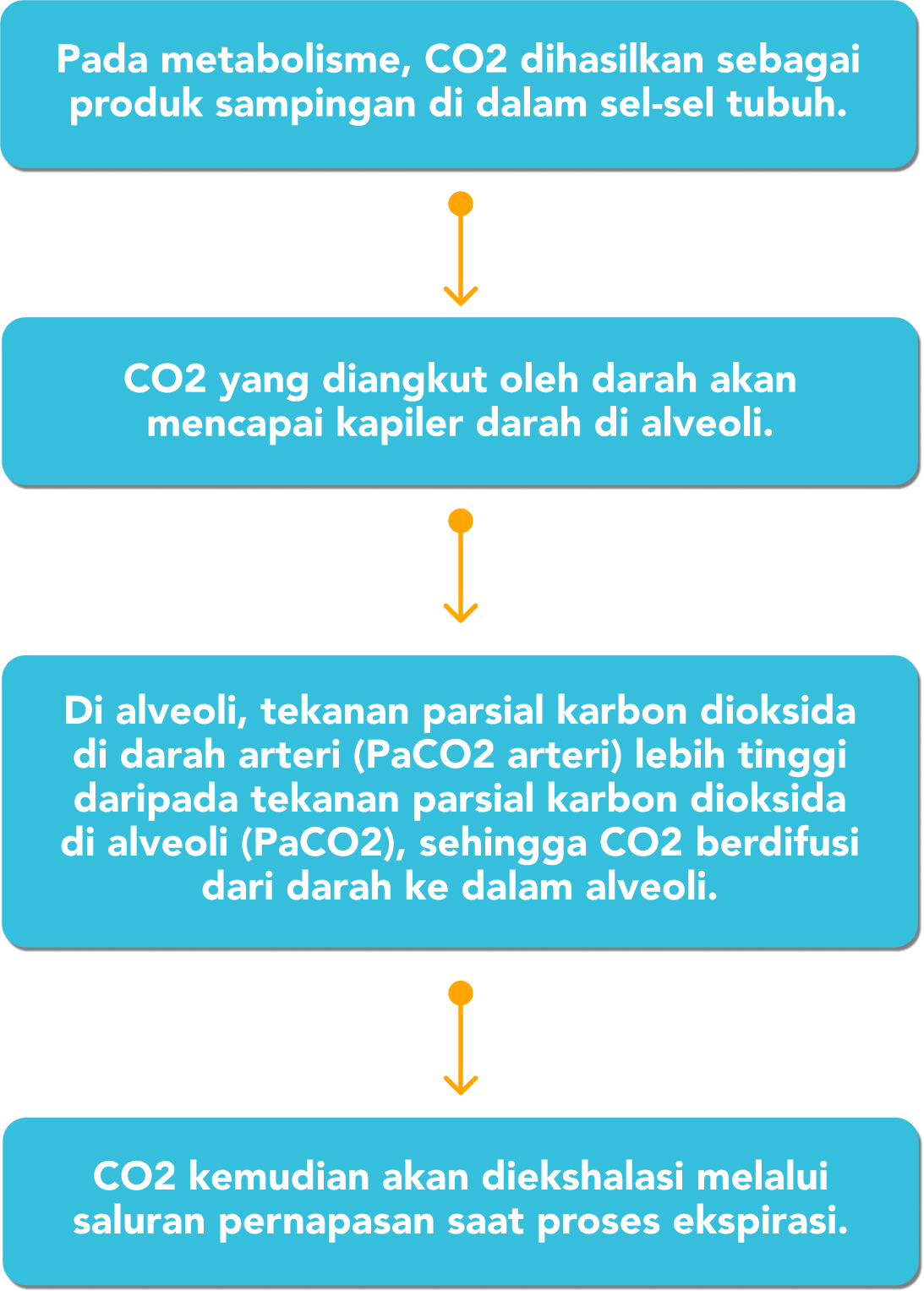 Pengaturan Konsentrasi Oksigen Dan Karbondioksida